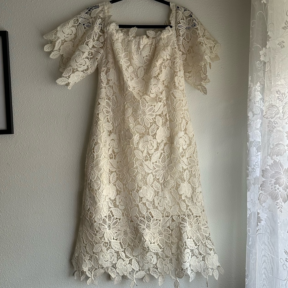 Free people lace dress
